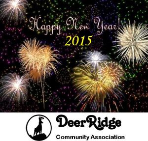 Happy New Year - 2015